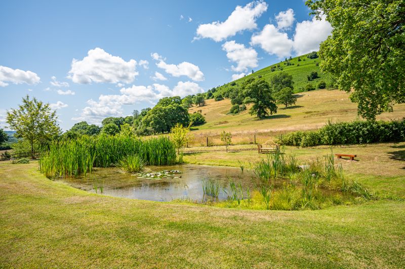 Garden- click for photo gallery